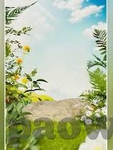 app大象传媒下载-探索APP大象传媒，数字时代的文化传播新势力