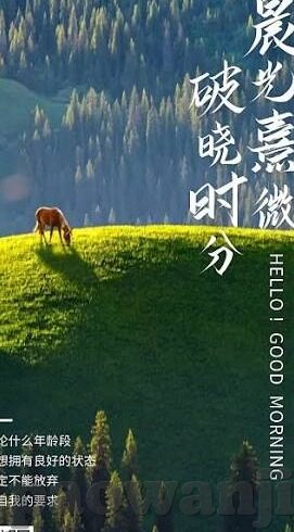 糖心成人app安卓-糖心，成人世界的温柔守望者